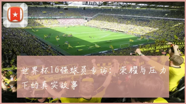 世界杯16强球员专访：荣耀与压力下的真实故事