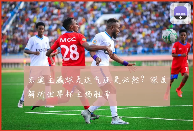 东道主赢球是运气还是必然?深度解析世界杯主场胜率