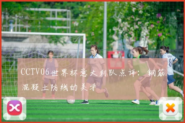 CCTV06世界杯意大利队点评：钢筋混凝土防线的美学