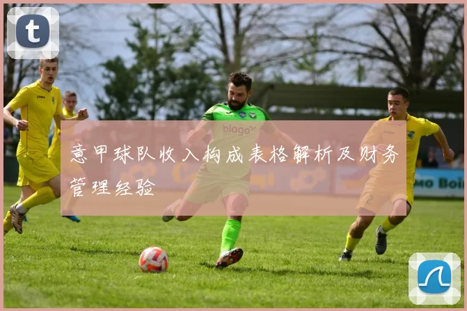 意甲球队收入构成表格解析及财务管理经验