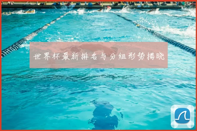 世界杯最新排名与分组形势揭晓