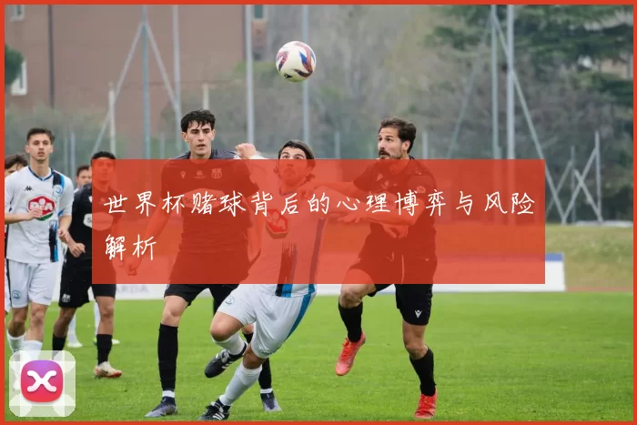 世界杯赌球背后的心理博弈与风险解析
