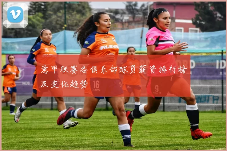 意甲联赛各俱乐部球员薪资排行榜及变化趋势