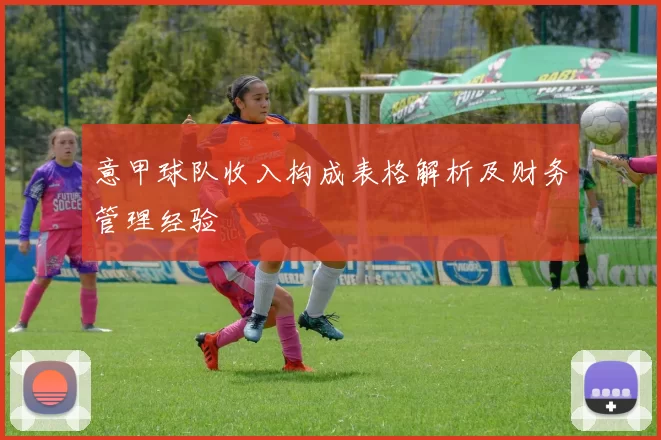 意甲球队收入构成表格解析及财务管理经验